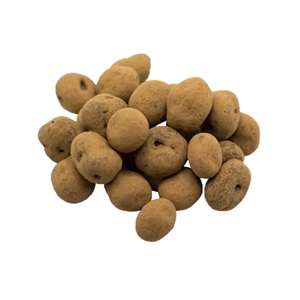 Organic Chocolate Covered Golden Berries 2oz