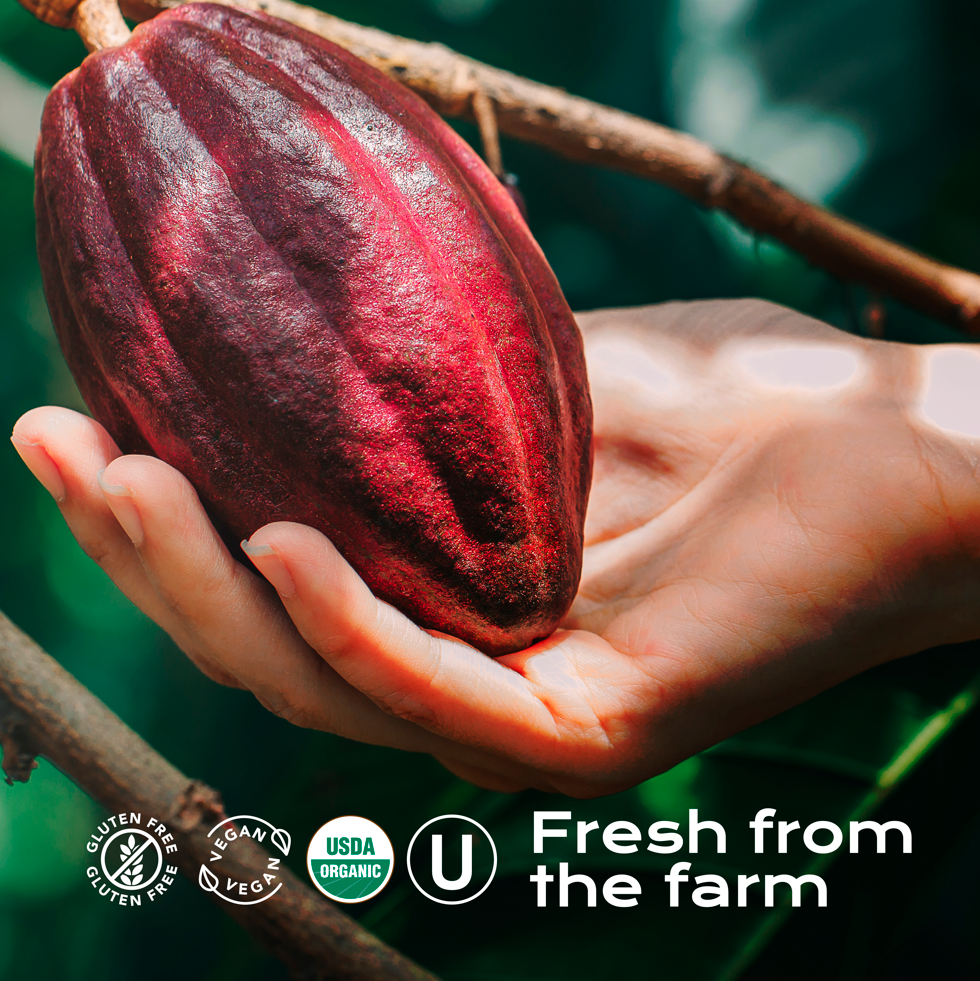 Organic Cacao Powder | Creations | 16 oz