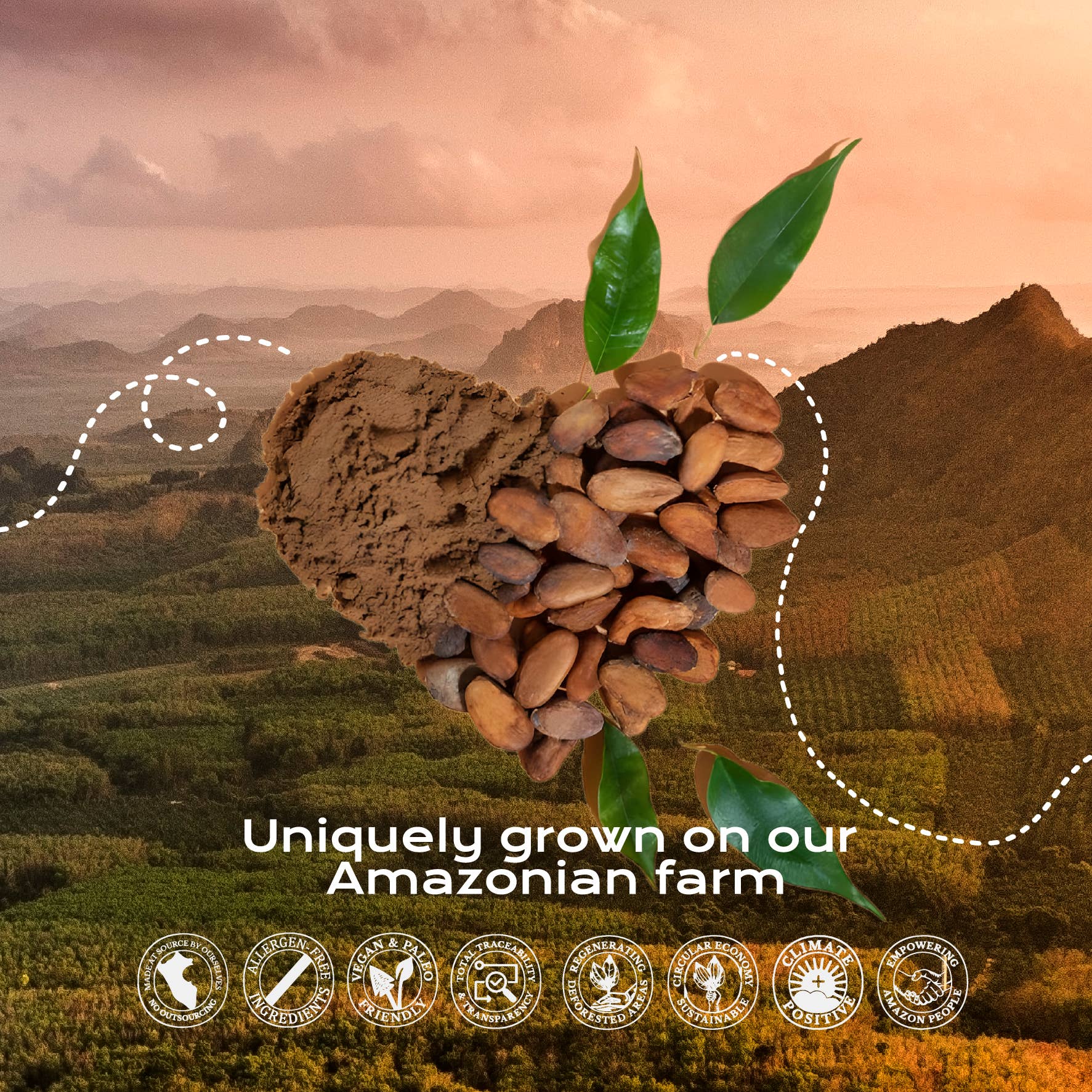 Organic Cacao Powder | Creations | 16 oz