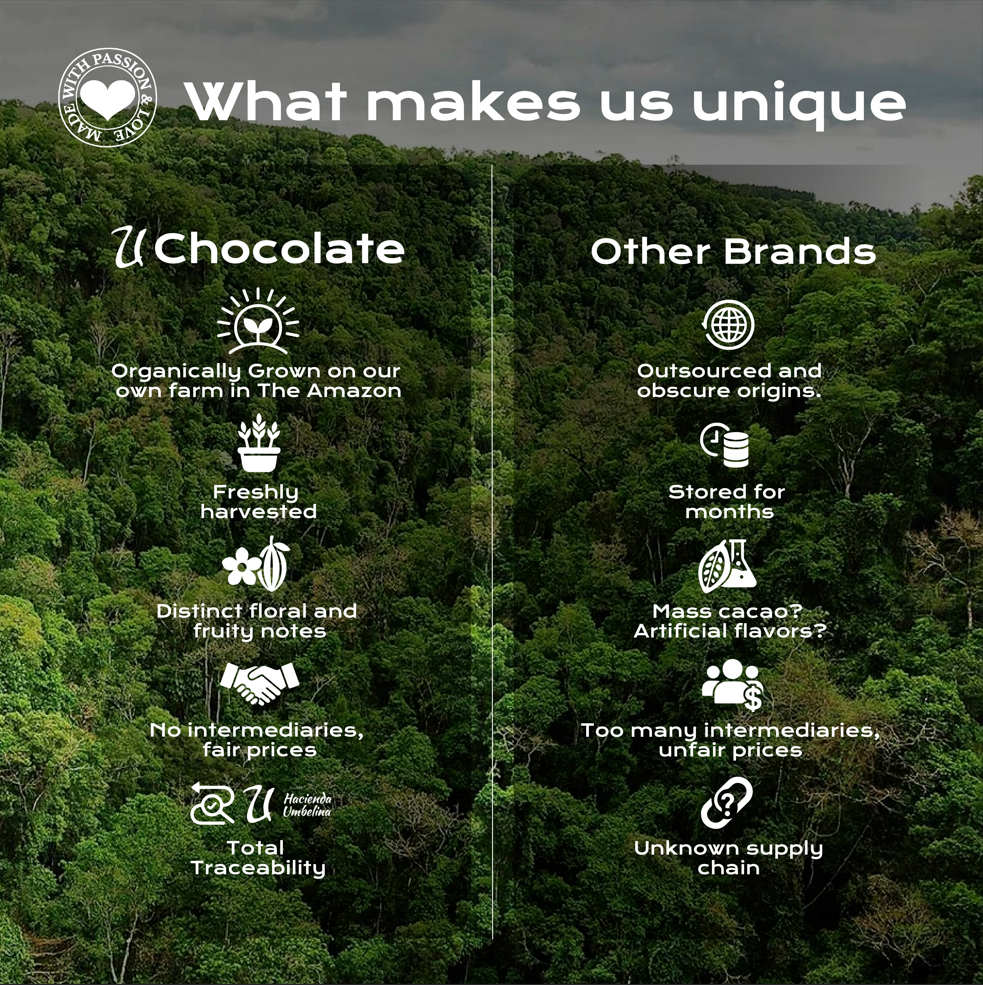 Organic Cacao Powder | Creations | 16 oz
